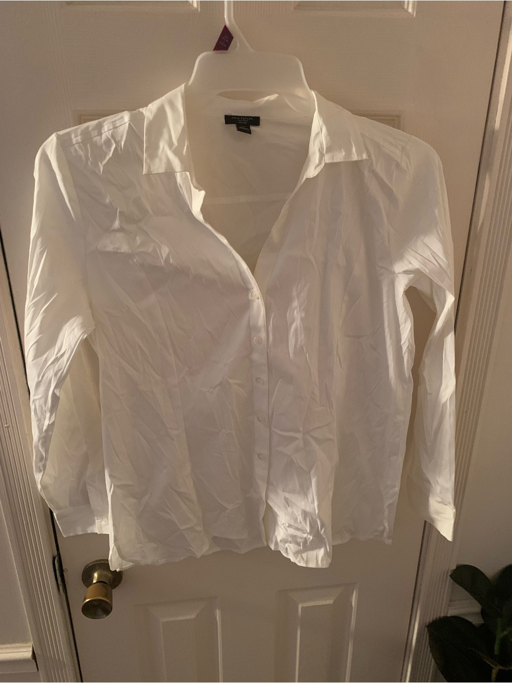 ann taylor white button down shirt petite large